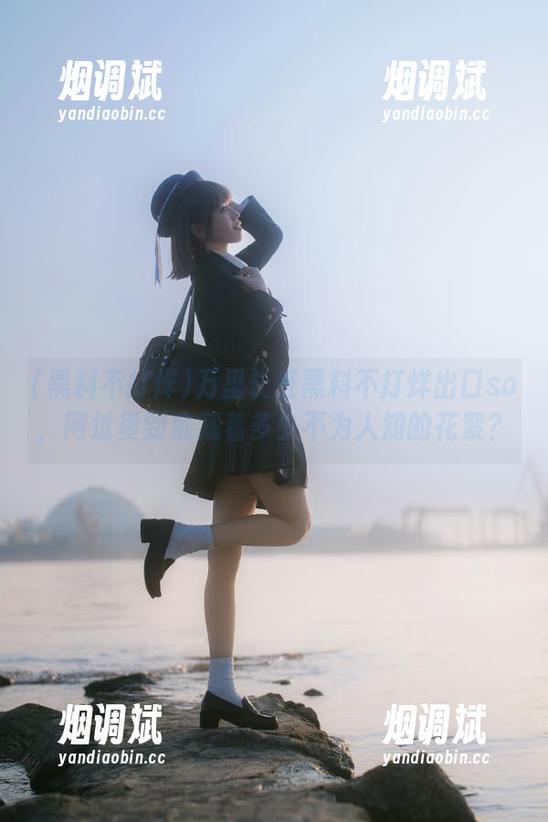 万里长征黑料不打烊出口so，网址里到底藏着多少不为人知的花絮？